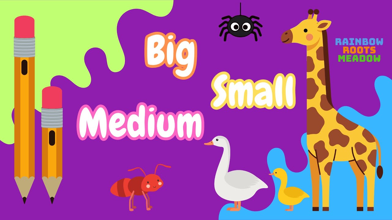 Learn Big, Small & Medium! Shapes & Sizes for Kids 📏 - YouTube