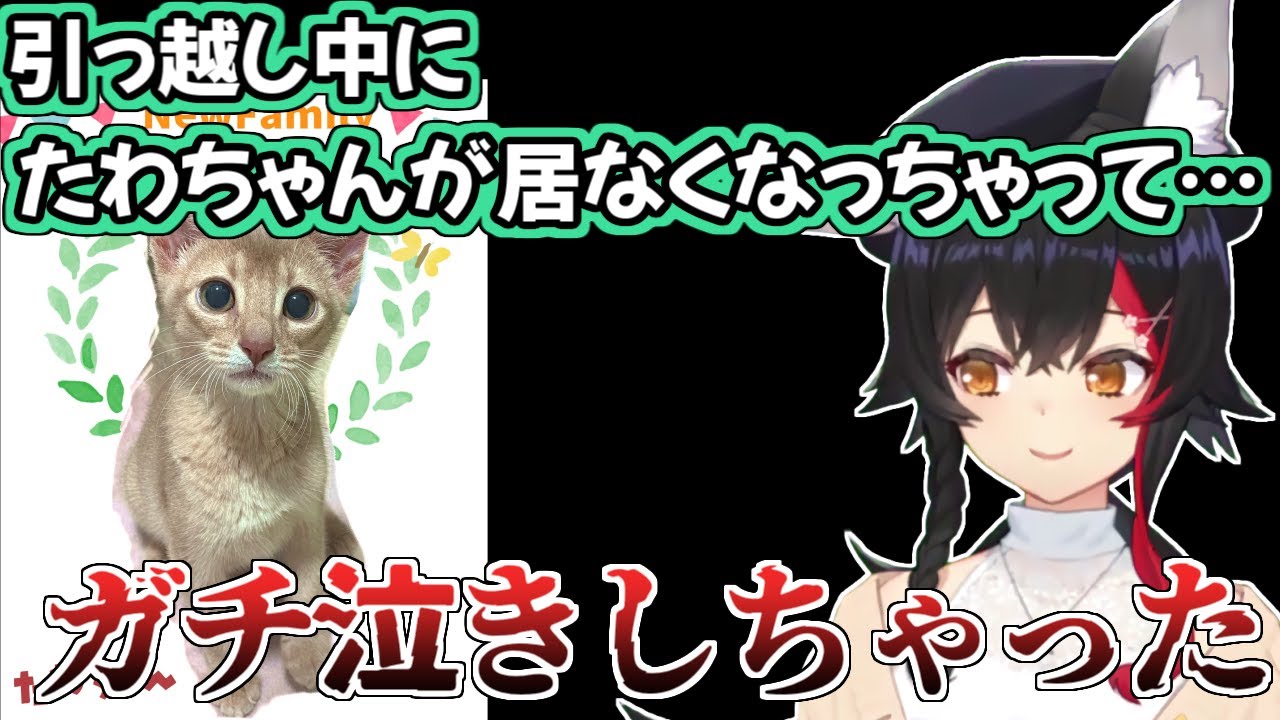 【ホロライブ切り抜き】引っ越し中に急に猫が居なくなっちゃって、大慌てしてガチ泣きしちゃったミオちゃん【大神ミオ】