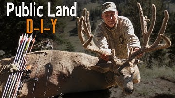 GIANT Public Land BUCK - Bow Hunting Season Opener! (Eastmans