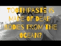 VLOG 51: TOOTHPASTE IS MADE OF DEAD BODIES FROM THE OCEAN?