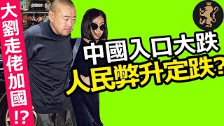 [Ray Regulus] 一週柒事: 大劉走佬 / 中國入口大跌 / 蕭若元講人仔升跌