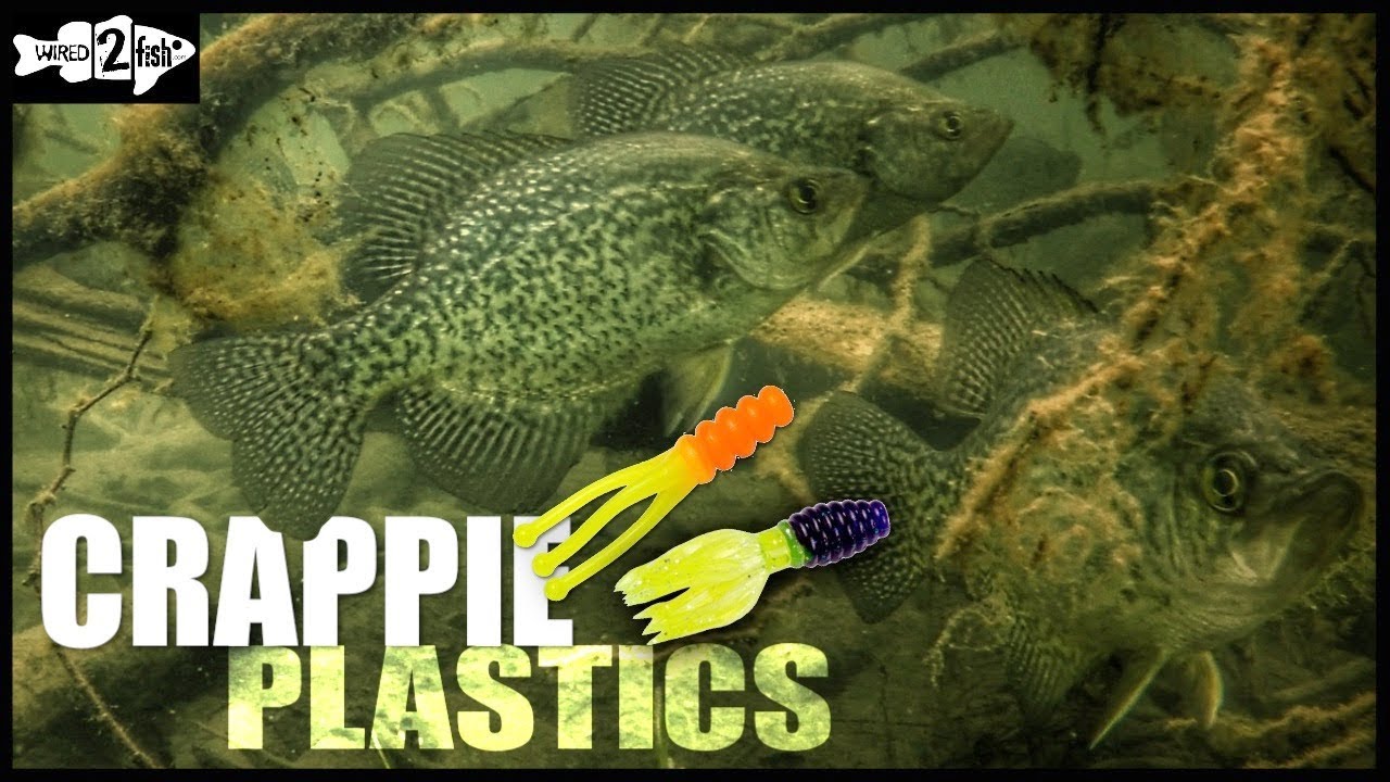 Watch Go-to Crappie Plastic Colors for Varying Water Clarity Video on