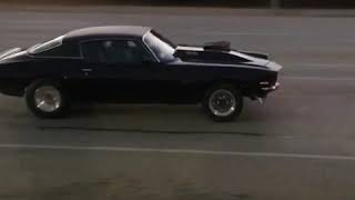 Let her rip tater chip