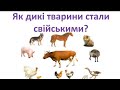 Як дикі тварини стали свійськими? ЯДС. 3клас. Візняк А.В.