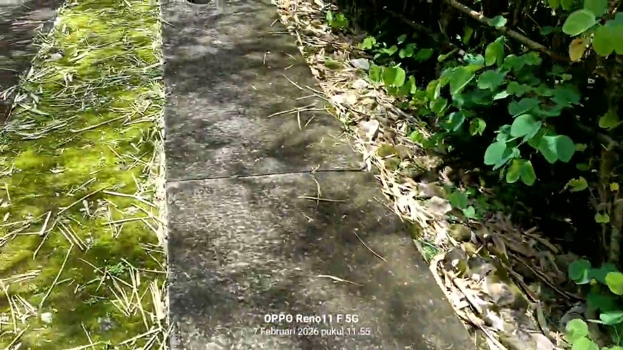 Jual tanah bonus Rumah sederhana SHM pekarangan luas:3000m² harga:370 juta