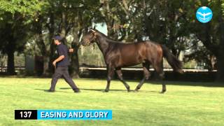 137   Easing and Glory