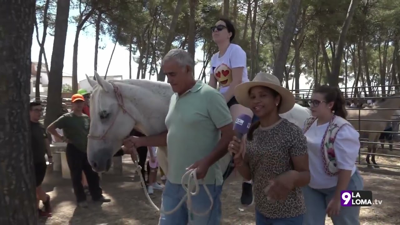 Feria de Torreperogil 2025 · Feria de Ganado