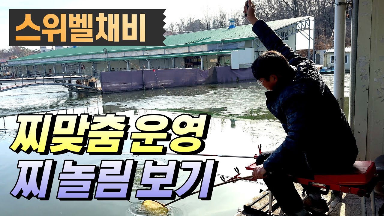 찌 맞춤 운영, 찌 놀림 보기-경기 용인 삼막곡낚시터(2024.01.16) #삼막곡낚시터 #즐낚tv