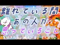 【全選択肢、神展開。】会えない間、あの人は何を思っているの?本気で聞いたらヤバすぎる結果が出てしまった……全選択肢神展開の恋愛リーディング🌸🌰