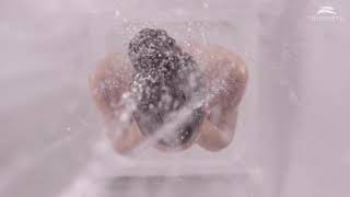 Rubineta. Shower products