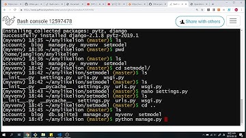 멋쟁이사자처럼 Django Pythonanywhere 실습영상