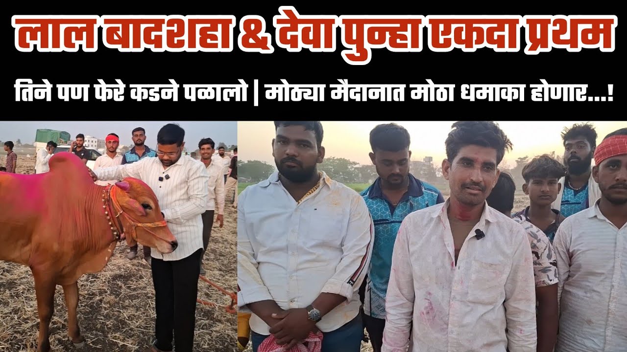 लाल बादशाह & देवा पुन्हा एकदा प्रथम क्रमांकाचे मानकरी 