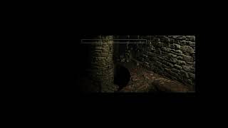 Diablo + hellfire devilutionx mod part 5