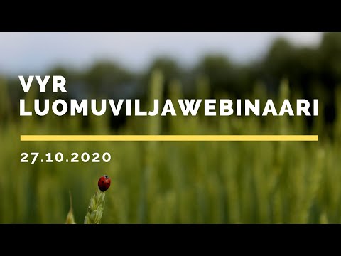 Video: Myllyt kotimaiseen viljaan. Manuaalinen viljamylly