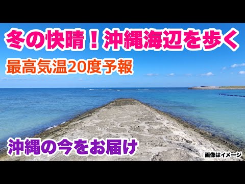 【沖縄の今をお届け】冬の快晴！ 沖縄海辺を歩く「沖縄旅行情報」