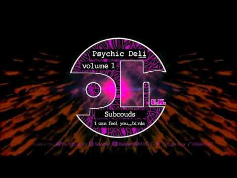 Subcouds - I Can Feel You....Birds (Goa trance, 1995)