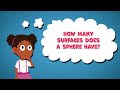 How many Surfaces Does a Sphere Have | Sphere Facts for Kids | Fun Facts about Spheres | 3D Shapes