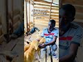 #share #goviral #usa #donate #donatenow #uk #fypシ #fypシ゚viral #fypyoutube #fypp
