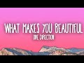 What Makes You Beautiful Mp3 Mp4 Free download