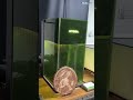 xTool F1 Ultra 🔥 20W Fiber + Diode | Metal + Wood Engraving Machine Demo