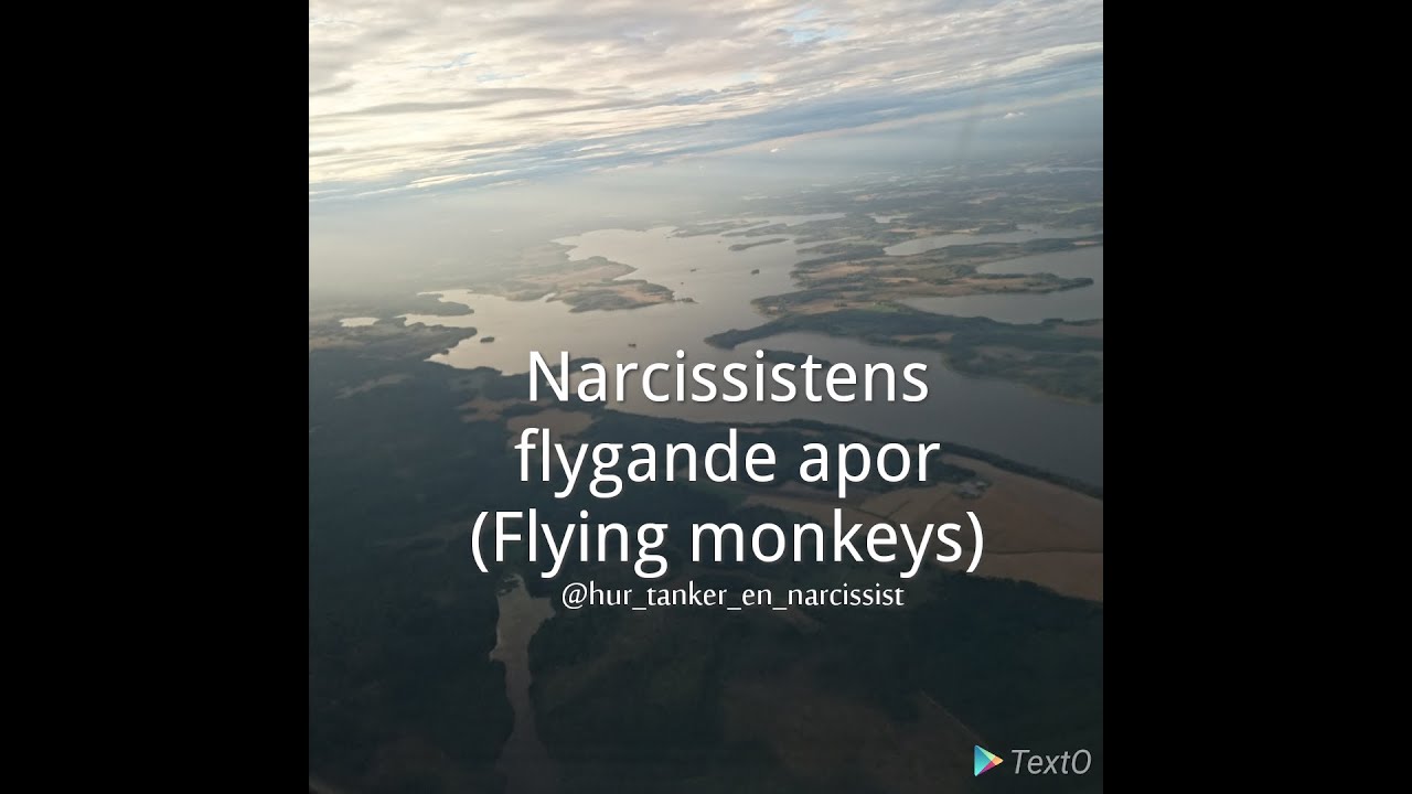 Flying monkeys (Flygande apor)