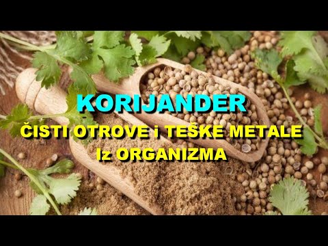 KORIJANDER - ČISTI OTROVE i TEŠKE METALE Iz ORGANIZMA