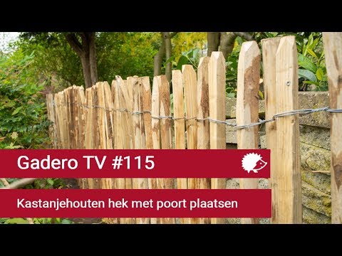 Video: Een Pergo-vloer installeren: 11 stappen (met afbeeldingen)