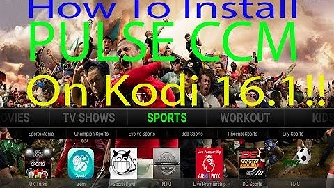 How to Install PULSE CCM on Kodi 16.1