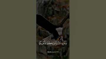 ارح قلبك تلاوة خاشعة #تصاميم_دينية #كرومات #قرآن