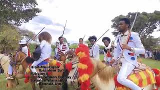 Tafarii Zarfuu -- 'Jabeessi Tokkummaa' -- New Ethiopian Oromo music,  2019