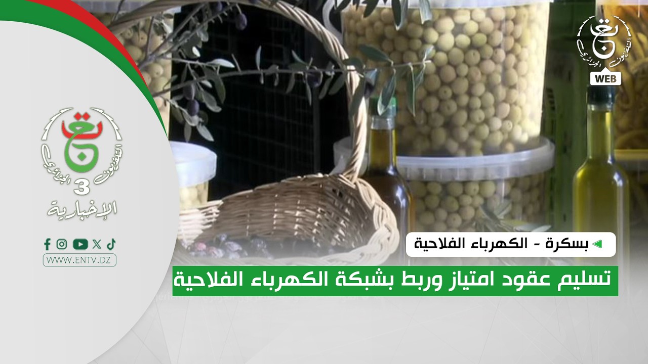 بسكرة - الكهرباء الفلاحية | تسليم عقود امتياز وربط بشبكة الكهرباء الفلاحية