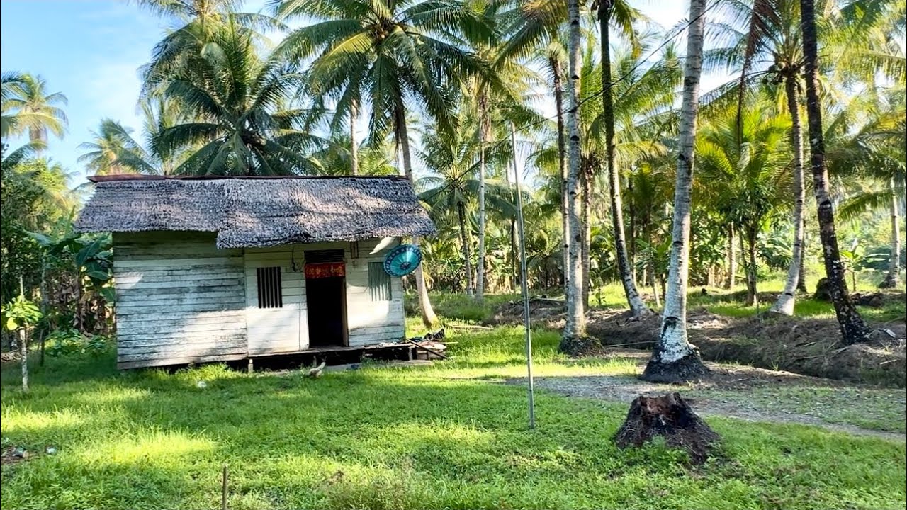Teduhnya Kampung Tionghoa dibalik rimbunya pohon kelapa