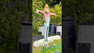 Scarecrow | the silent protector of a garden #farming