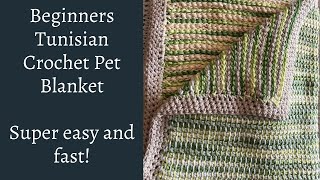 Tunisian Crochet Beginner Tutorial - Pet Blanket