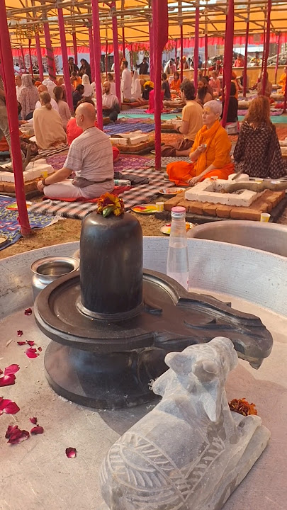 Foreigners doing Havan in MahaKumbh || Mahakumbh 2025 #youtubeshorts #trending #mahakumbh #ganga
