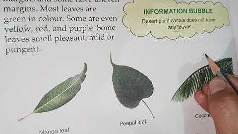 Class- 3rd (E.V.S.) Chapter -10 (Part -1)