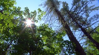 Girl's call helps rescuers locate her & 2 other kids