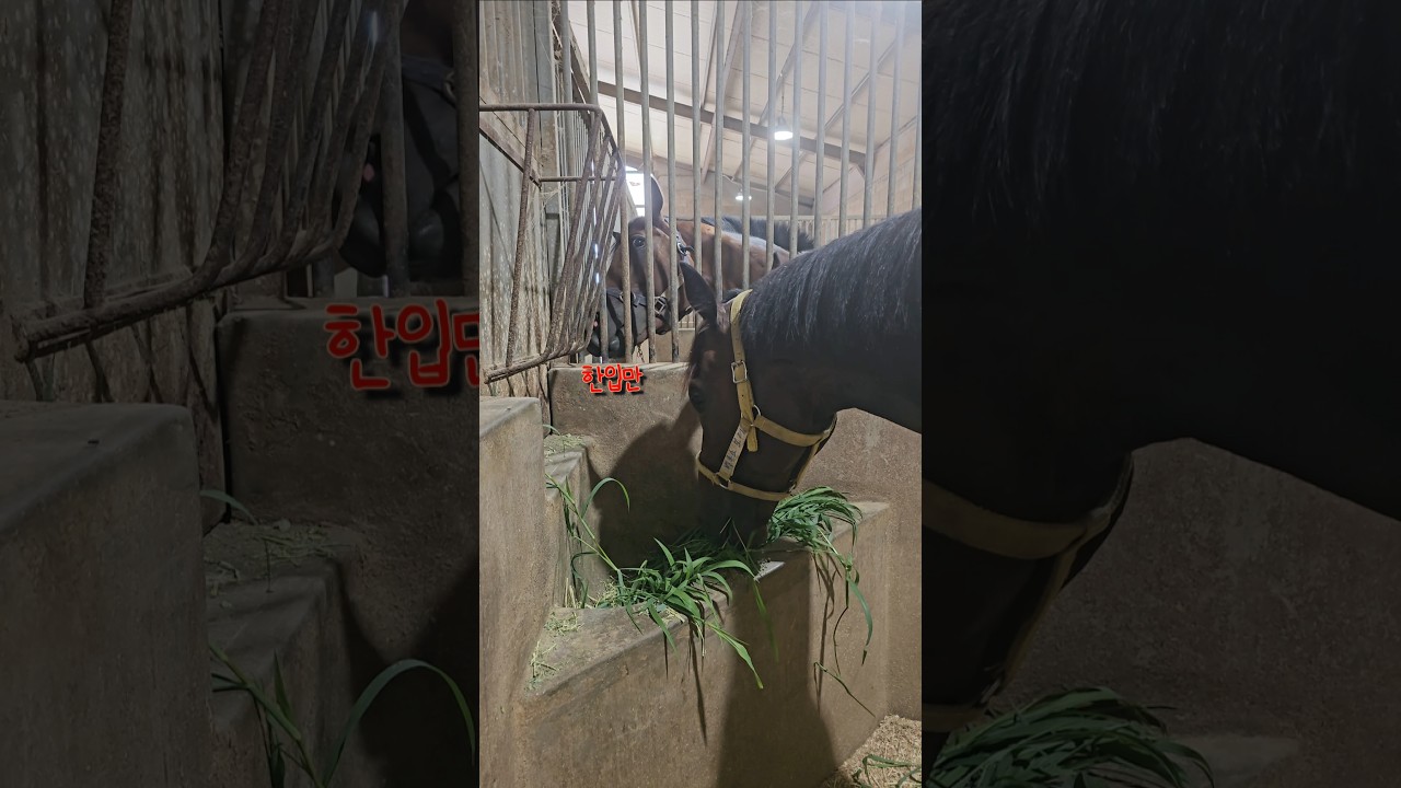 나도 좀 주라🥺😢😭
