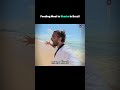Feeding Meat to Sharks in Brazil