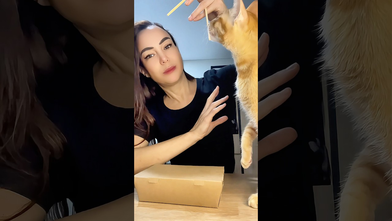 Еда против кошки