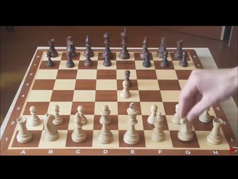 Видео: Это самая наглая ловушка для твоего соперника! С этой ЛОВУШКОЙ невозможно проиграть! Шахматы!
