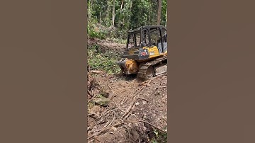 Great skills Operator Bulldozer Pulling Logs#heavyequipment#Bulldozer#Logs