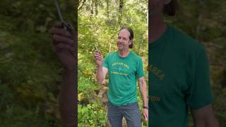 Removable bolts for rebolting climbing routes with Paul from PACC #climbing