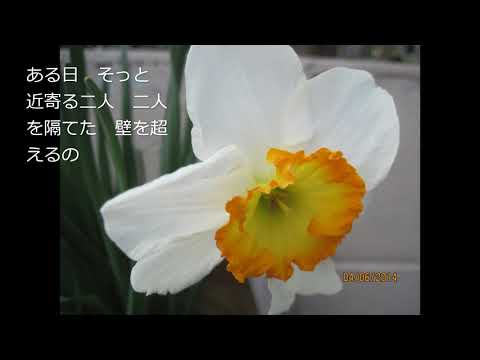 昭和の歌４４１＃ある日突然