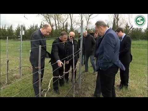 ბელარუსი მინისტრები ჯიღაურას ბაზასა  და კომპანია ,,სარაჯიშვილში\"