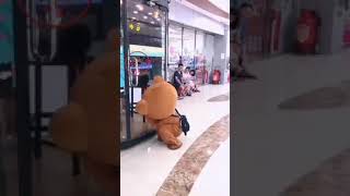 الدب الظريف  The cute bear   Милый медведь