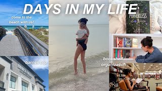 wholesome days in my life vlog: barnes trip, going to the beach, organizing my bookshelves & more!