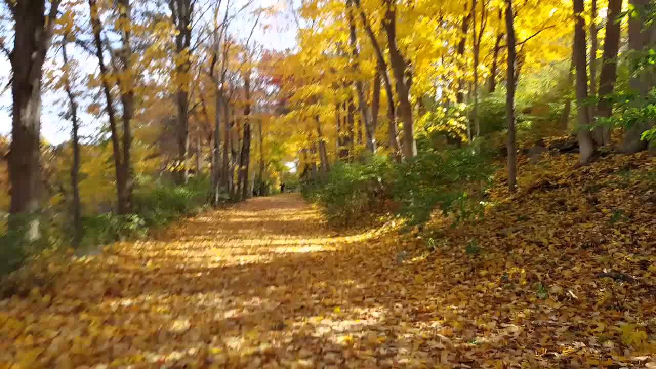 Pequannock Valley Greenway (Housatonic RailTrail) YouTube