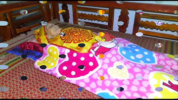 Lễ tang cụ bà : Nguyễn Kim Anh - ấp Phan Mầu - xã Định Thành A - Đông Hải - Bạc Liêu