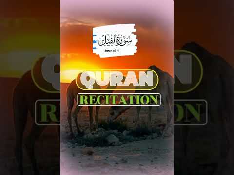        سورة الفيل القرآن الكريم بتلاوة جميلة 